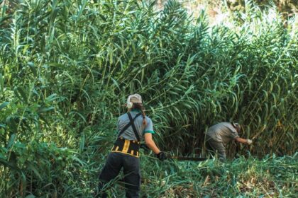 Quebrada de Zonda: Mantenimiento para disfrutar su esplendor natural