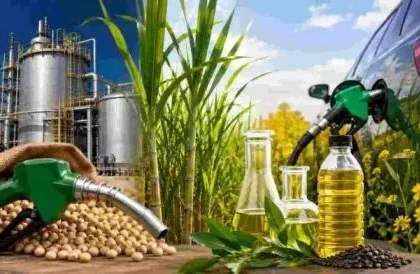 Nueva ley de Biocombustibles: qué cambia para el bioetanol, el biodiésel y las pymes