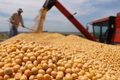 El Niño mejora las perspectivas del agro, pero el exceso de agua amenaza a los cultivos