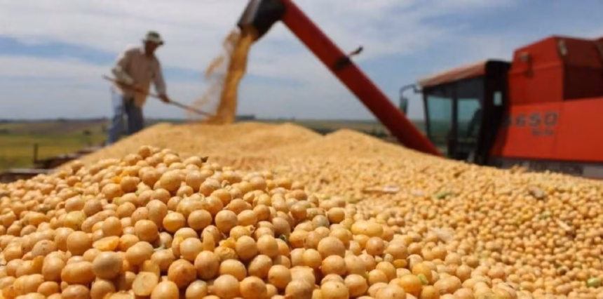 El Niño mejora las perspectivas del agro, pero el exceso de agua amenaza a los cultivos