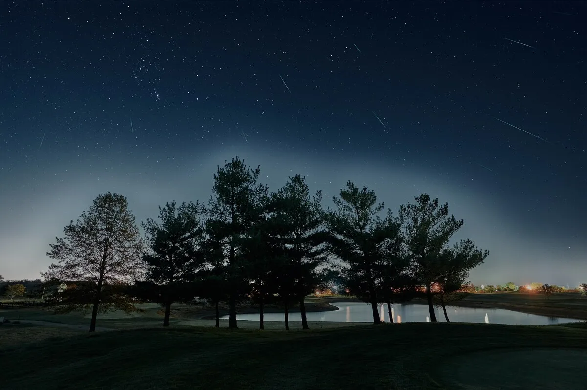 Varias rayas de luz cruzan un cielo azul oscuro sobre árboles en silueta y un estanque.