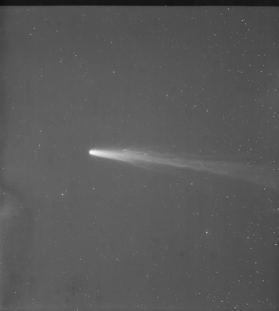 Placa fotográfica en blanco y negro con un cometa de cola larga y recta sobre un fondo gris de estrellas.