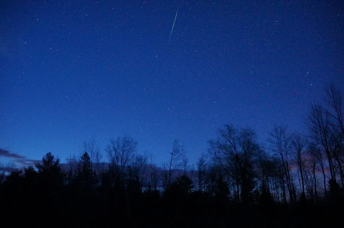 Una raya de luz cruza un cielo azul de madrugada sobre copas de árboles en silueta.