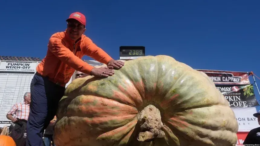 Estados Unidos: Un zapallo de 1.431,5 kilos ya tiene el récord Guinness como el más pesado del mundo