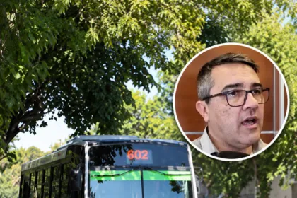 Transporte de San Juan: Molina informó 1.845 registros y avances en pagos y herramientas digitales