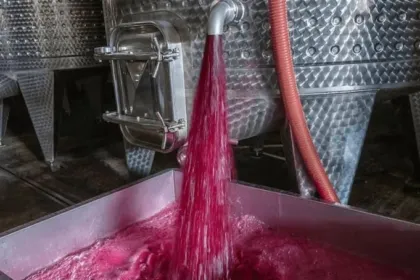 San Juan mira el balotaje en Brasil: la apuesta por Bolsonaro para destrabar exportaciones de vino y mosto