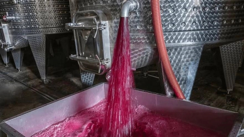 San Juan mira el balotaje en Brasil: la apuesta por Bolsonaro para destrabar exportaciones de vino y mosto