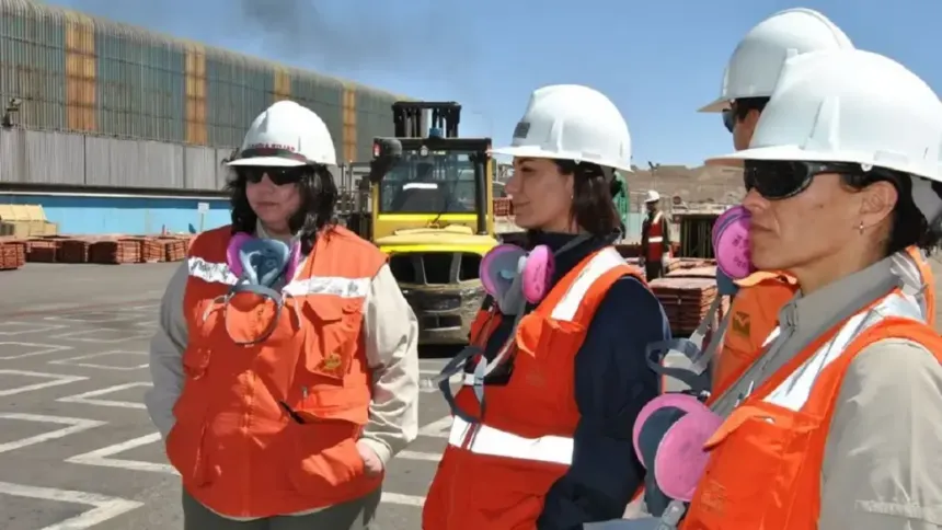Mujeres Más Mineras: 138 emprendedoras de San Juan van por las habilitaciones para conquistar nuevos mercados