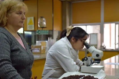 Una investigadora trabaja con un microscopio en un laboratorio universitario.