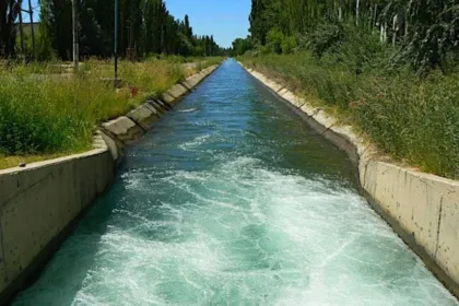 San Juan vota por el agua: quiénes están obligados a participar este domingo y dónde se vota