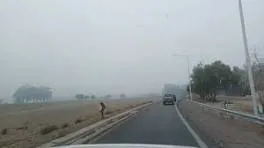 Alerta en rutas de San Juan: hay riesgo de hielo, lluvias y bancos de niebla
