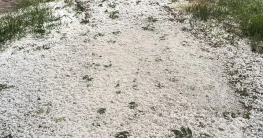 Granizo acumulado sobre el suelo y entre la vegetación.