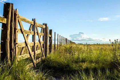 El Gobierno busca flexibilizar la compra de tierras rurales por extranjeros sin eliminar todos los límites