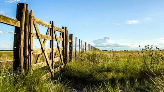 El Gobierno busca flexibilizar la compra de tierras rurales por extranjeros sin eliminar todos los límites
