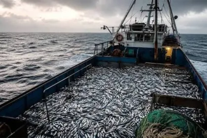 Más de 4 millones de toneladas: la cifra detrás de la denuncia por pesca ilegal en Malvinas
