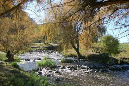 Un arroyo corre entre árboles y piedras en un paisaje de Jáchal.
