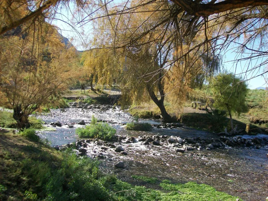 Un arroyo corre entre árboles y piedras en un paisaje de Jáchal.