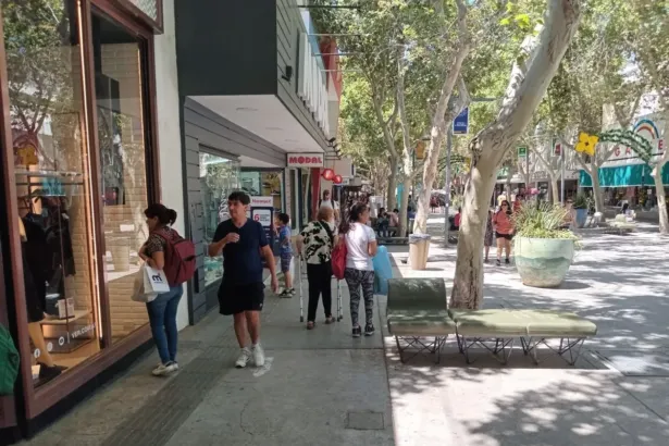 San Juan Comercio y Servicios: Registró una caída del 2,5% en las ventas por el Día de la Madre