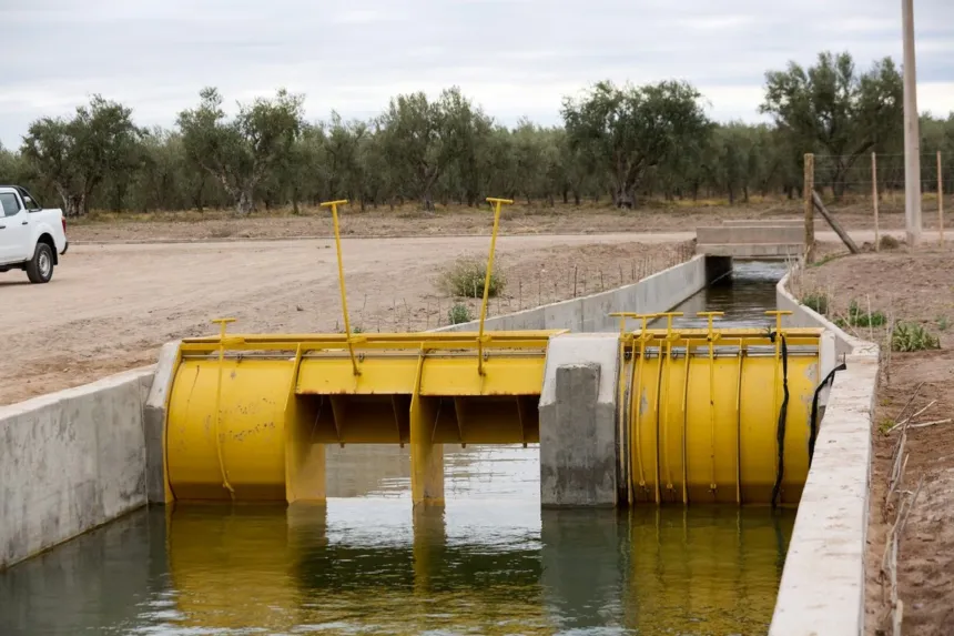 Mendoza transforma el riego agrícola: impermeabilizaron más de 9 kilómetros de canales