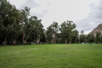Césped y árboles en un parque junto a una ladera rocosa.