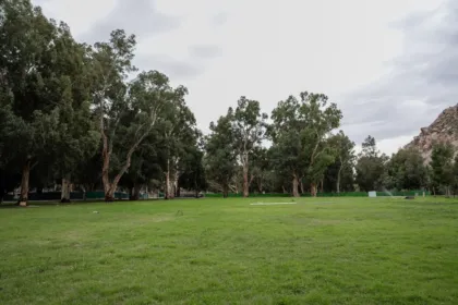 Césped y árboles en un parque junto a una ladera rocosa.