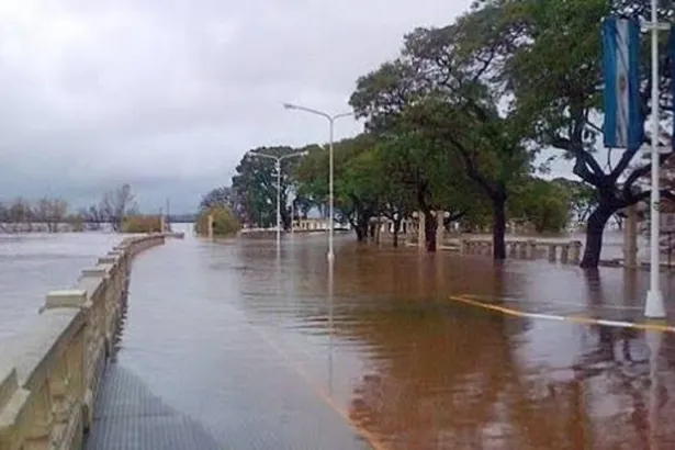Agua de inundación cubre una calle arbolada.
