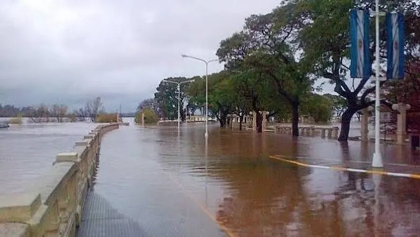 Agua de inundación cubre una calle arbolada.