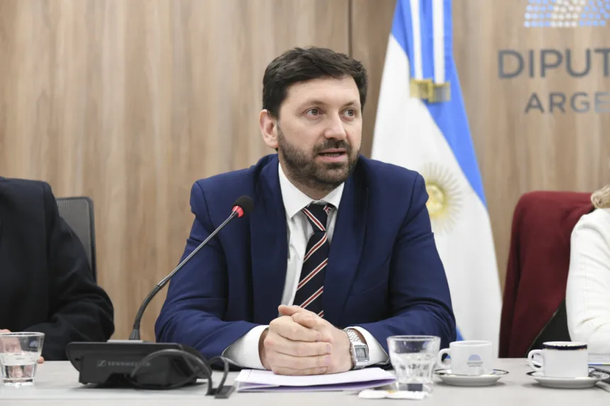 Un diputado habla ante un micrófono durante una reunión en la Cámara de Diputados.