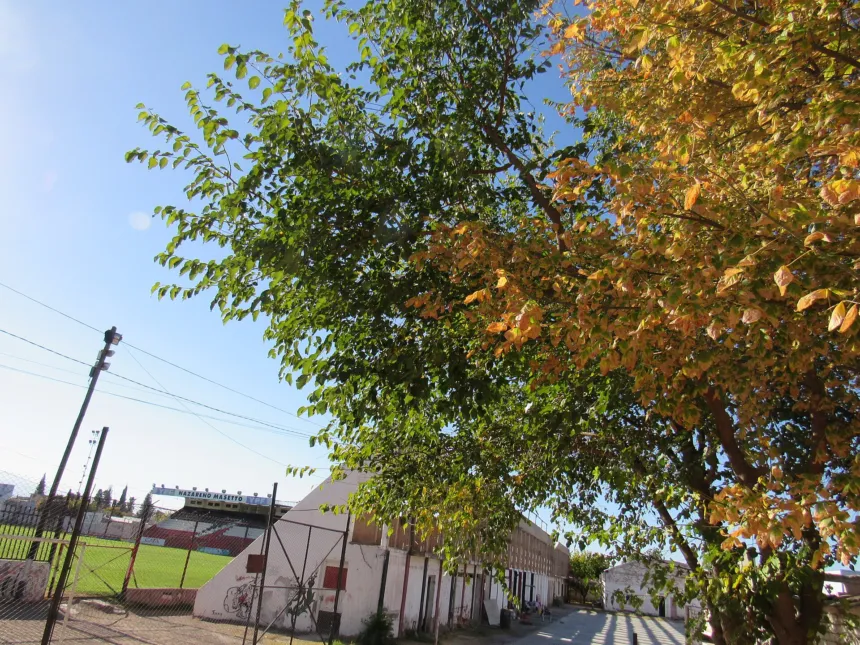 Cancha de Deportivo Maipú vista desde la calle, detrás de un alambrado y árboles.