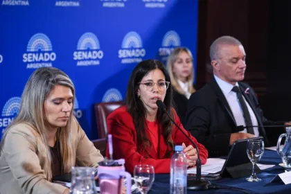 Legisladores participan de una reunión del Senado.