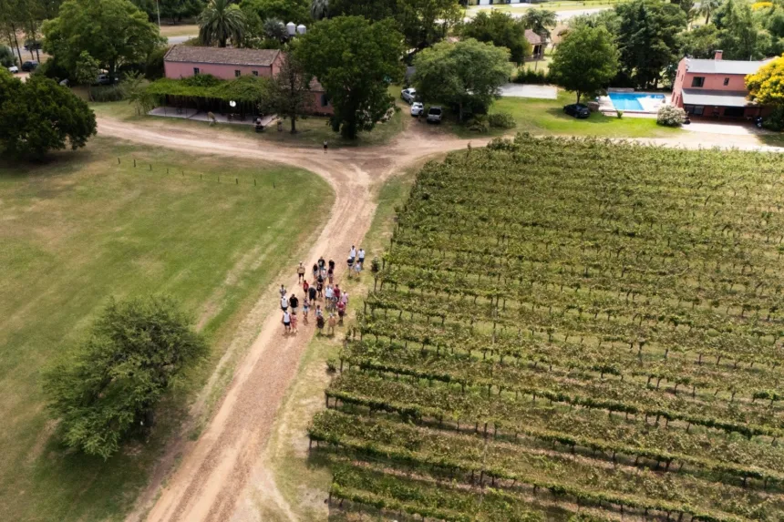 El vino argentino llega a una provincia inesperada: más de 400 personas participarán de un gran encuentro